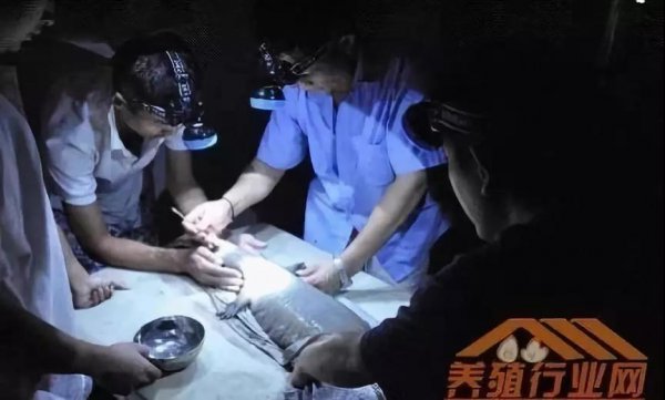 資本試水區(qū)塊鏈生物科技+大健康，場(chǎng)景應(yīng)用時(shí)代已然來(lái)臨！