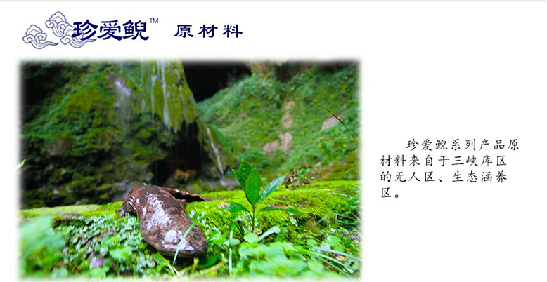 走魚(yú)妊娠紋修復(fù)套裝1_04.jpg